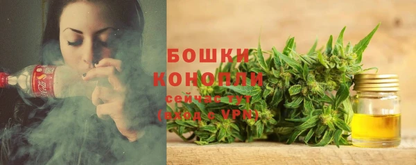 ALPHA PVP Кодинск