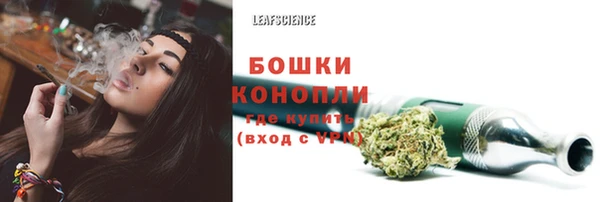 ALPHA PVP Кодинск