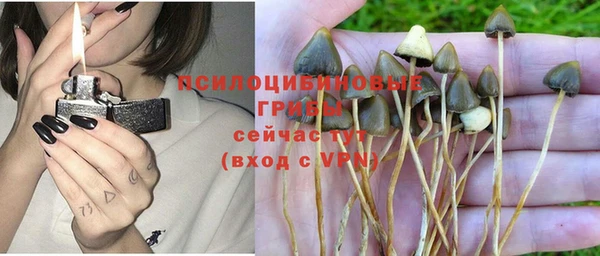 ALPHA PVP Кодинск