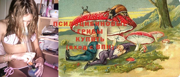 ALPHA PVP Кодинск