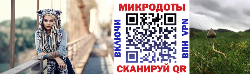 Купить где  Выкса  Галлюциногенные грибы MAGIC MUSHROOMS 